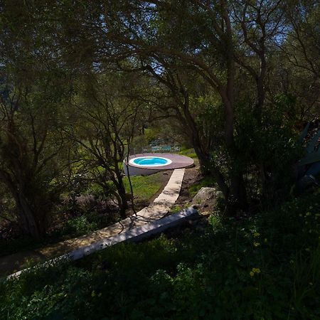 Agroturismo Suites Hacienda Los Olivos Santa Brigida  Luaran gambar